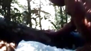 Bear fucks ass in woods