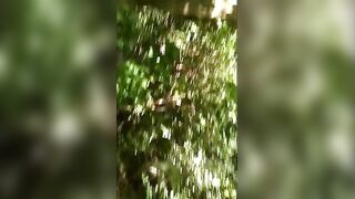 Old Man Sucks Young Cock Outdoors