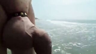 Meat Monster Elephant Beach Walk